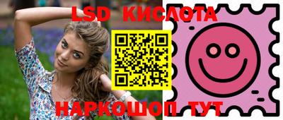 дмт Кимры
