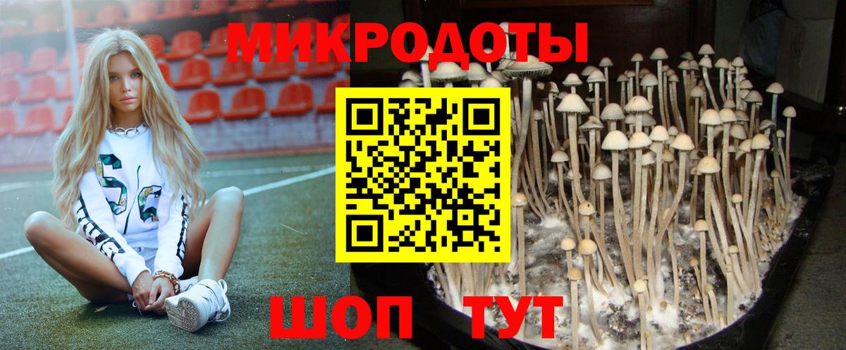 Галлюциногенные грибы ЛСД Благовещенск